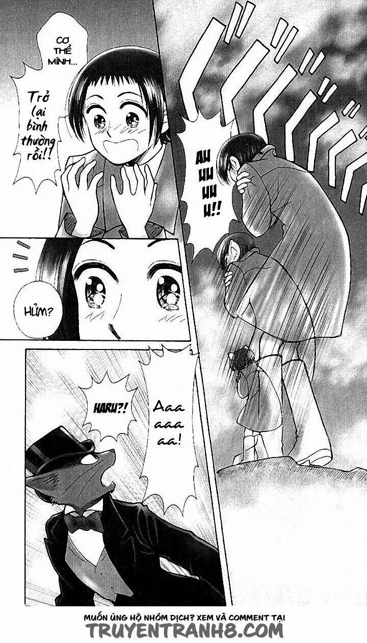 Lời Thì Thầm Từ Trái Tim: Chapter 9