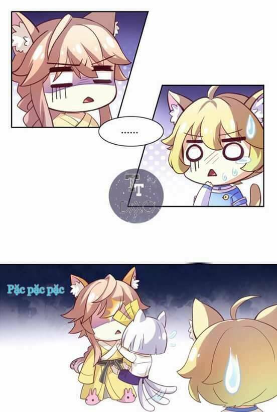 Dưới Móng Vuốt Mèo: Chapter 1