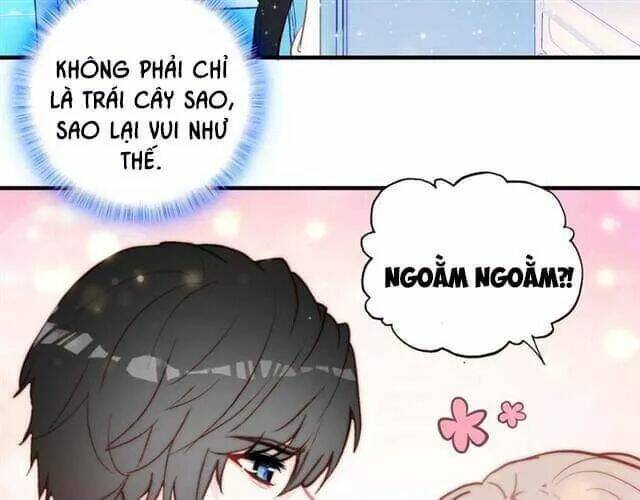 Tinh Diệu Vị Lai: Chapter 11