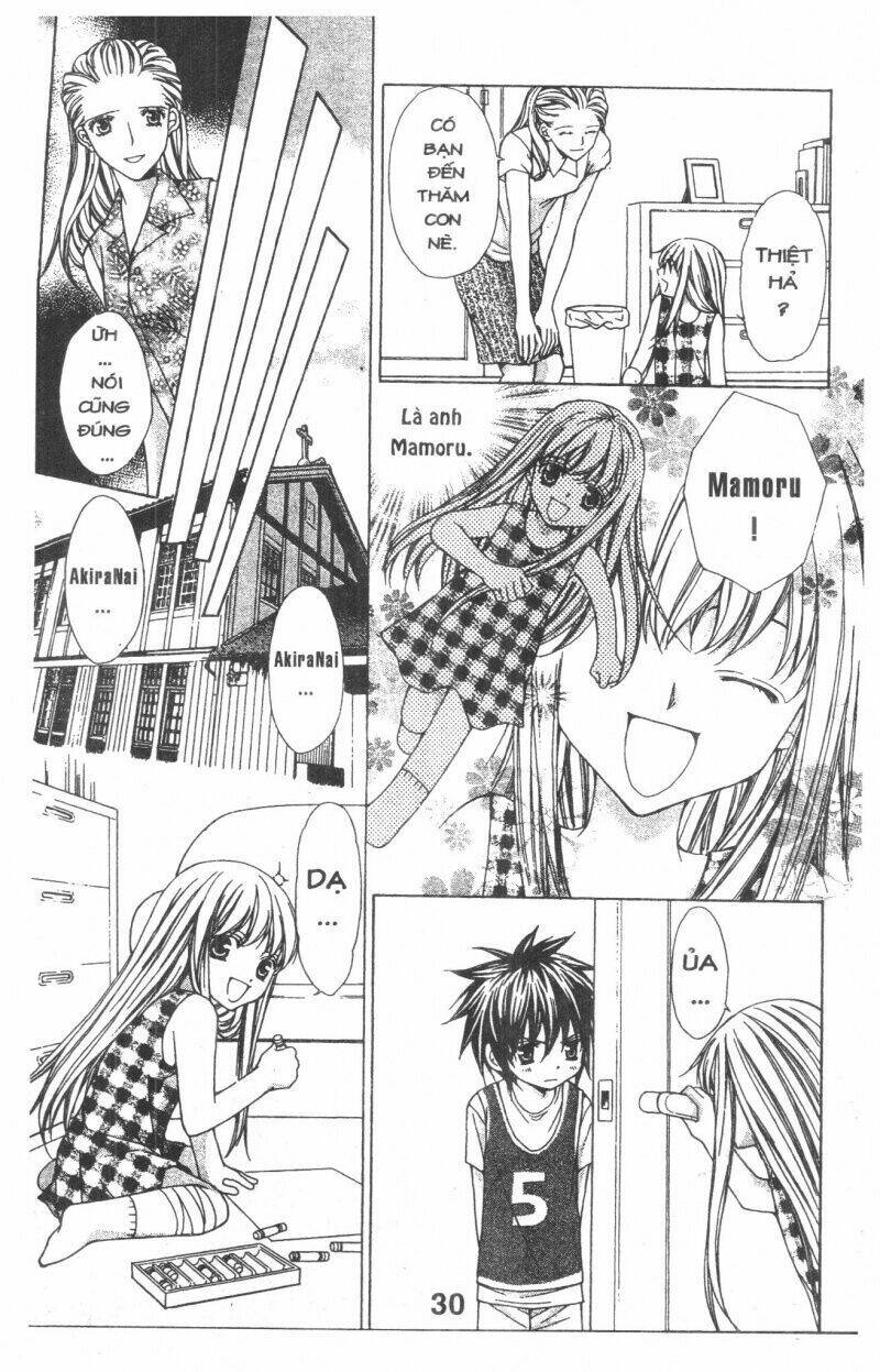 Trái Tim Kim Cương: Chapter 1