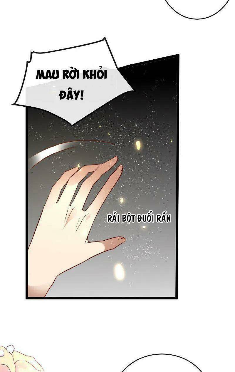 Sủng Hậu Của Vương: Chapter 119