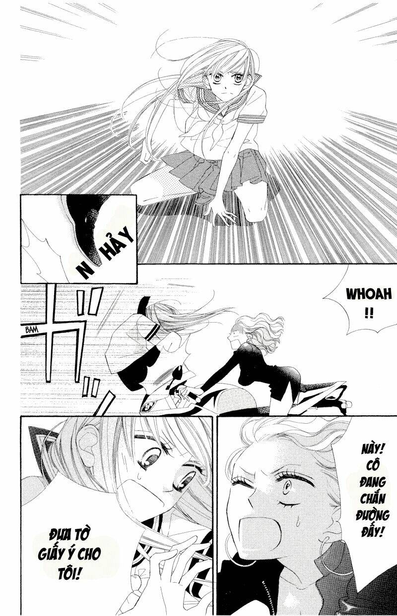 Hoa Trong Bão: Chapter 5