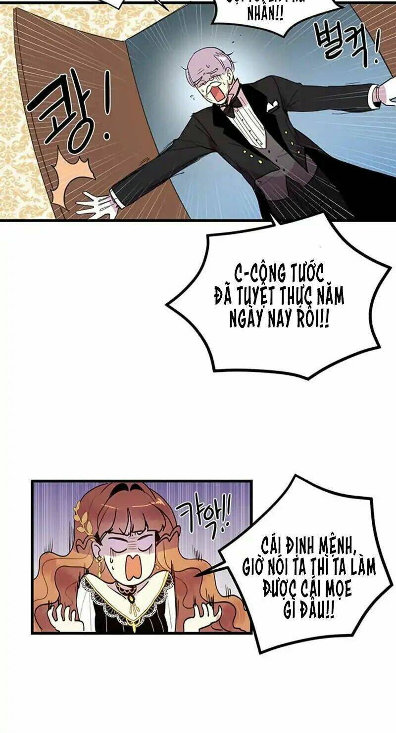 Công Tước, Loạn Vừa Thôi!: Chapter 5