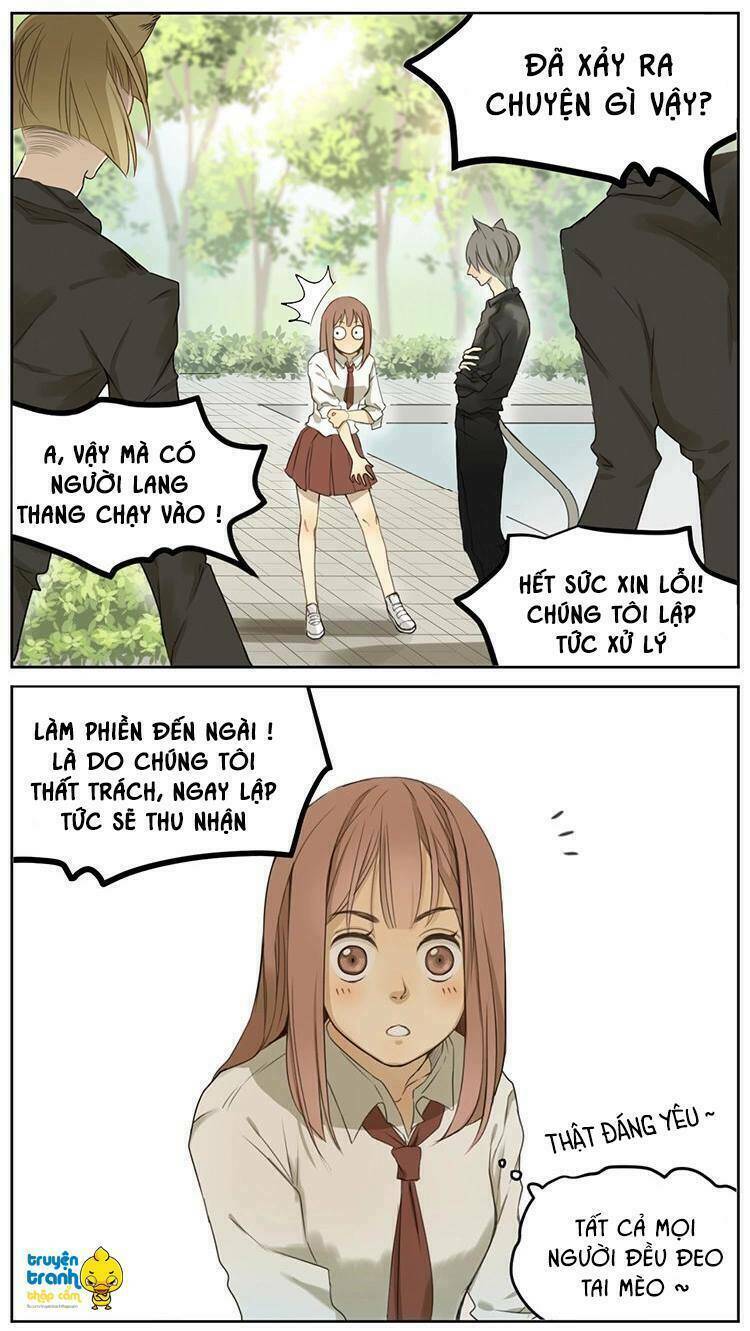 Cứu Mạng! Loài Mèo Thống Trị Thế Giới Rồi!: Chapter 2