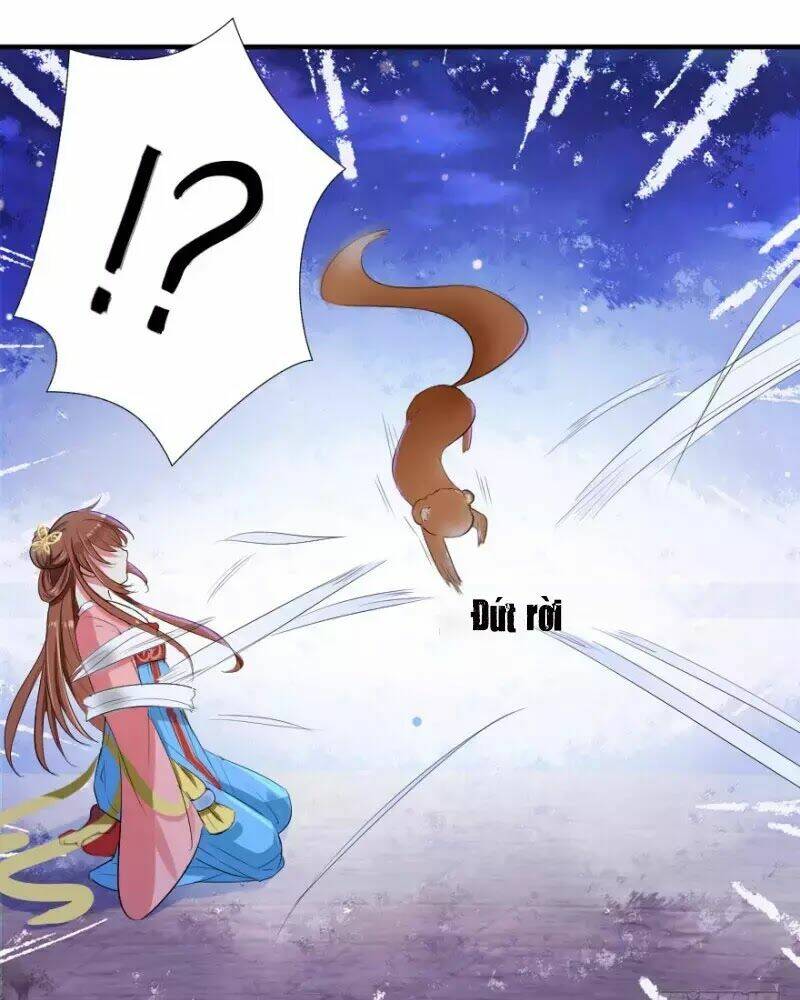 Hành Trình Sủng Đế Cơ: Chapter 1