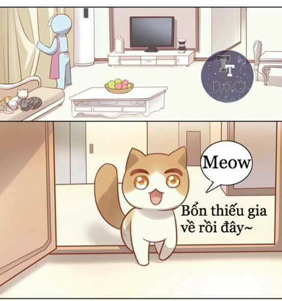 Dưới Móng Vuốt Mèo: Chapter 8