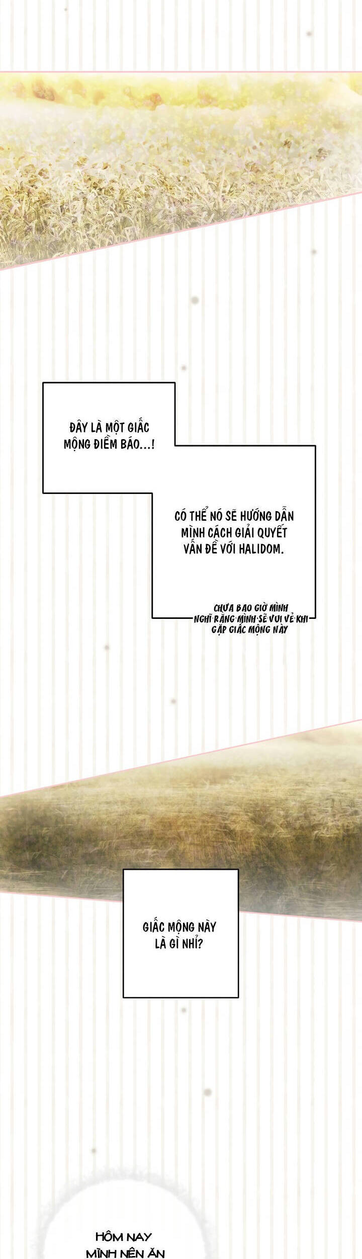 Cô Hầu Giỏi Giang: Chapter 45