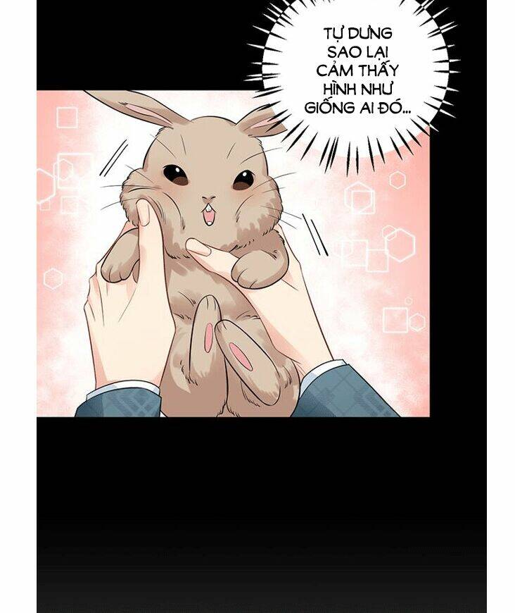 Trọng Sinh Để Ngủ Với Ảnh Đế: Chapter 212