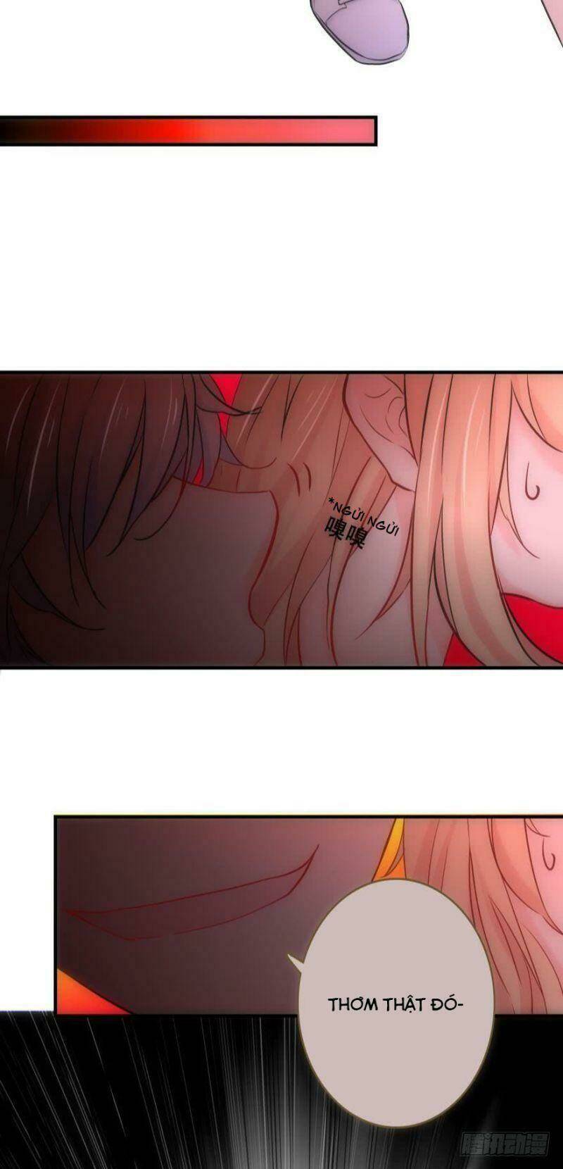 Nhân Ngư Học Trưởng, Đừng Ôm Ta!: Chapter 5