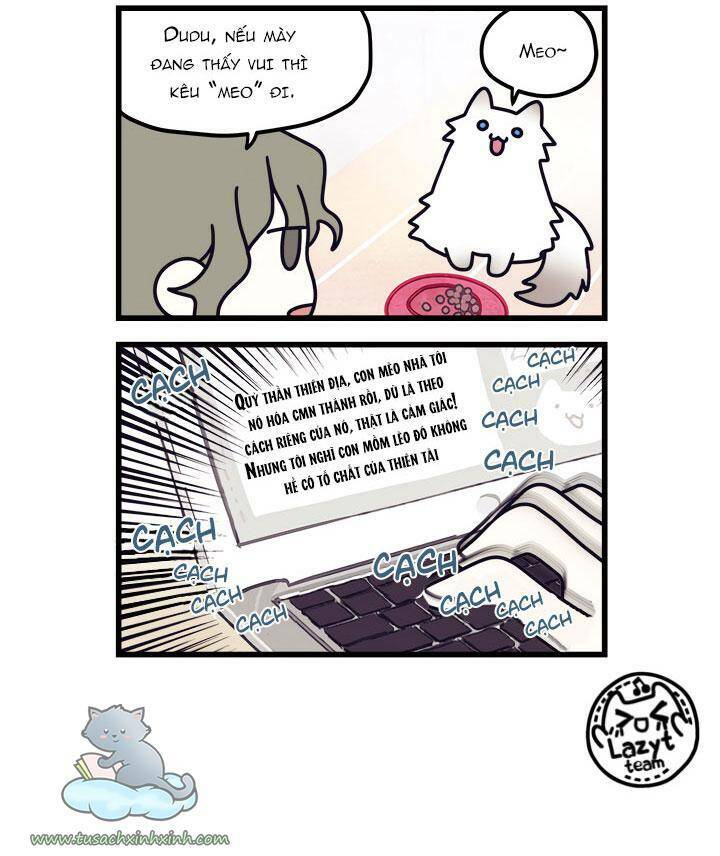 Khi Loài Mèo Làm Bá Chủ Thế Giới: Chapter 8