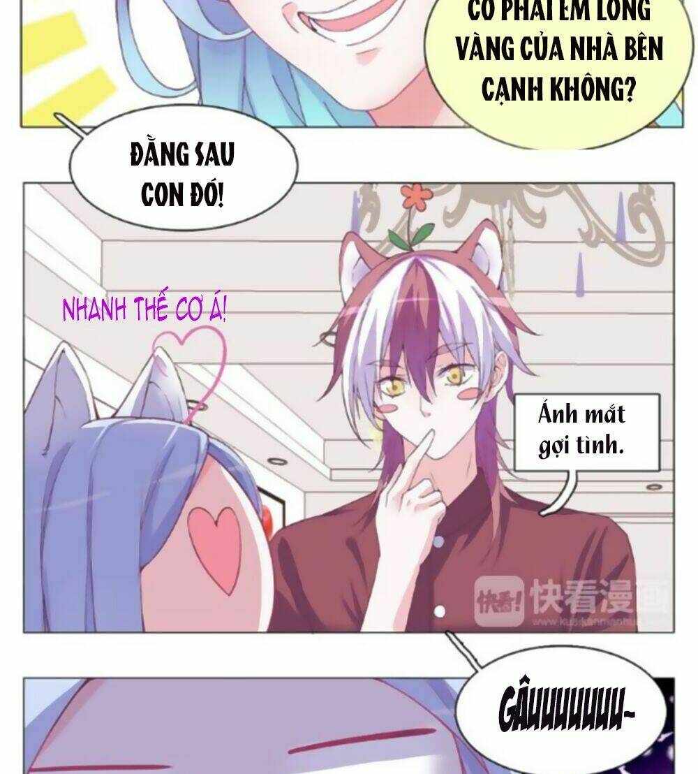 Đừng Nghịch, Ta Chỉ Muốn Yên Tĩnh: Chapter 28