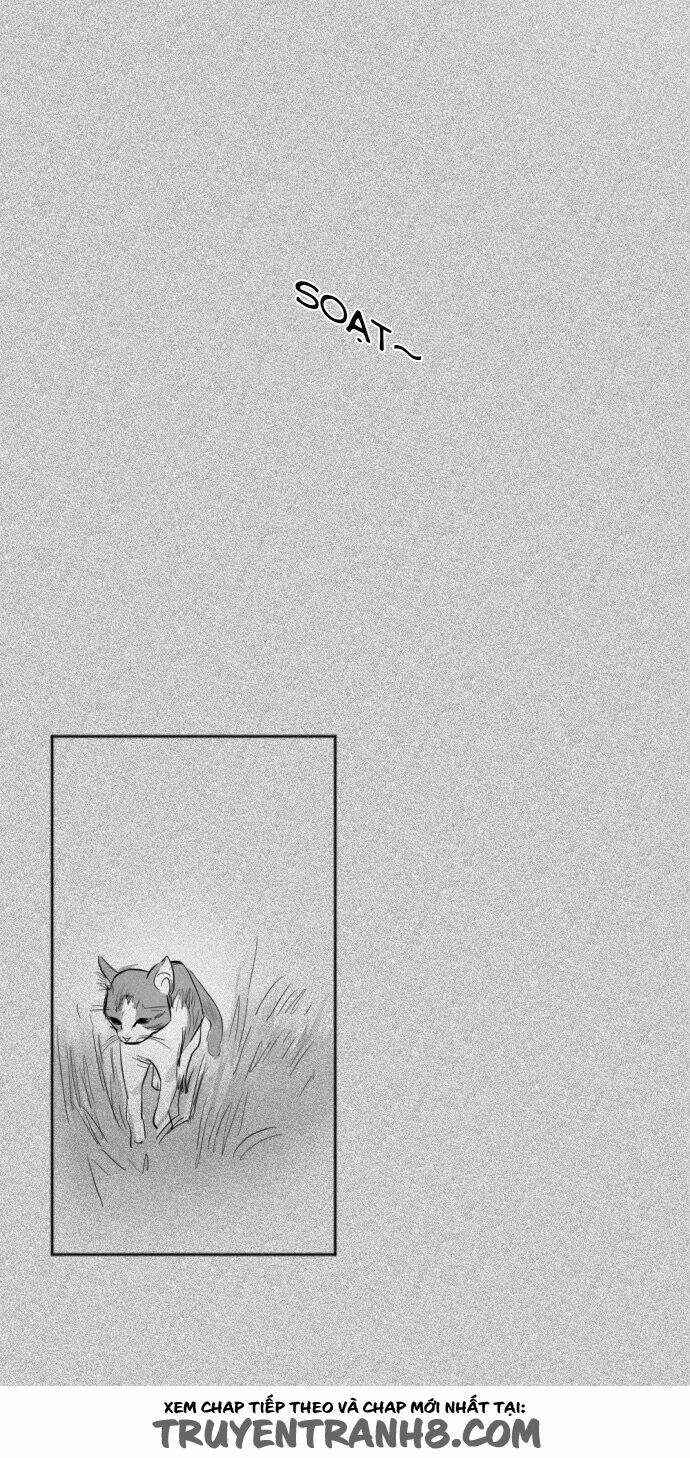 Transparent Cohabitation: Chapter 24