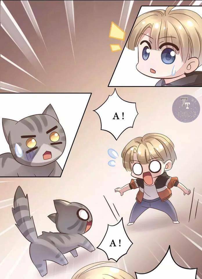 Dưới Móng Vuốt Mèo: Chapter 19