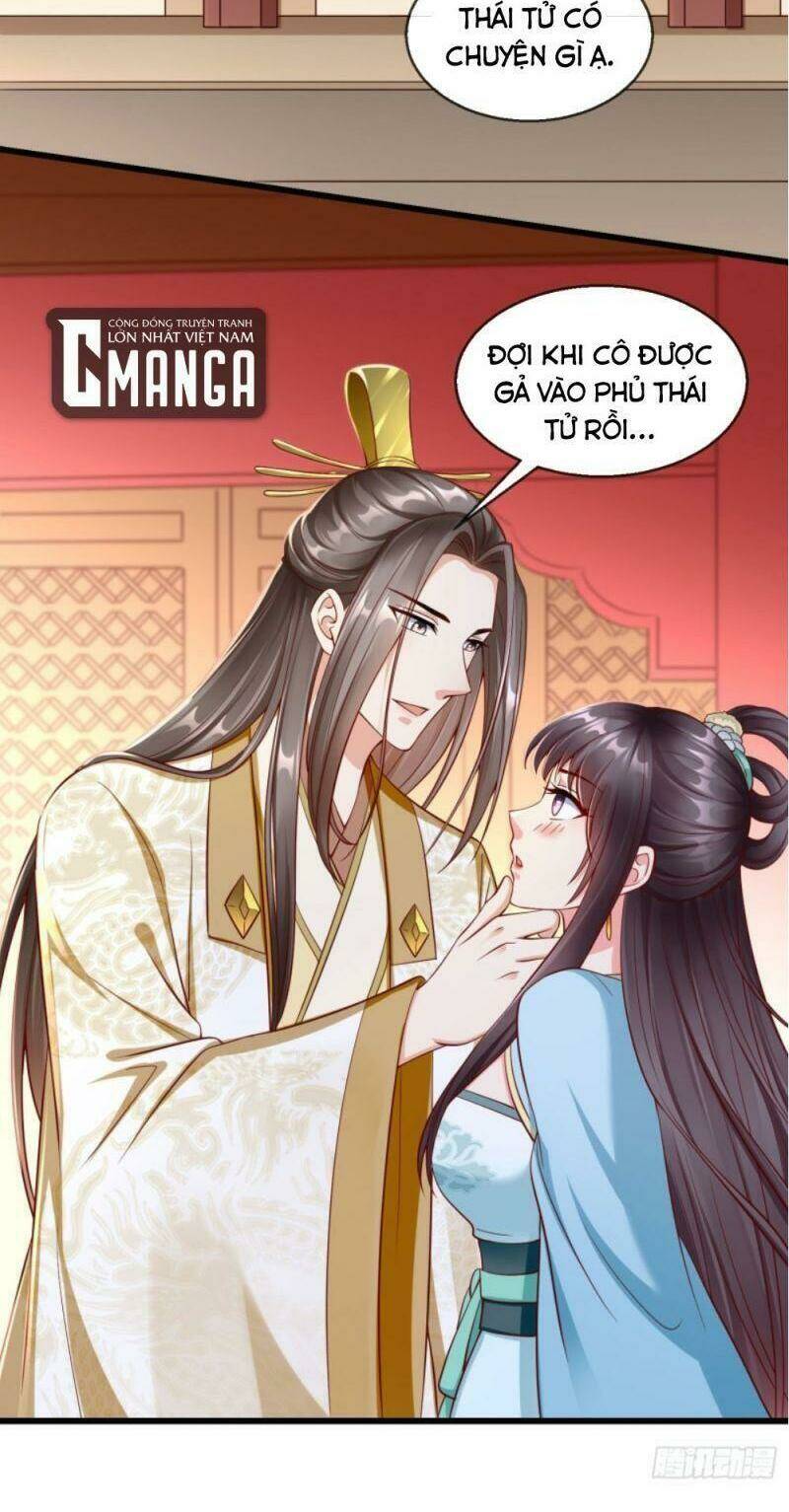 Vương Phi Là Đoá Bạch Liên Hoa: Chapter 28