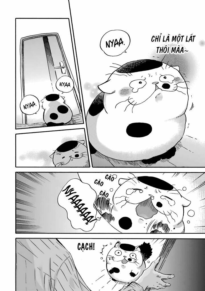 Ông Chú Và Con Mèo Mặt Bựa: Chapter 15