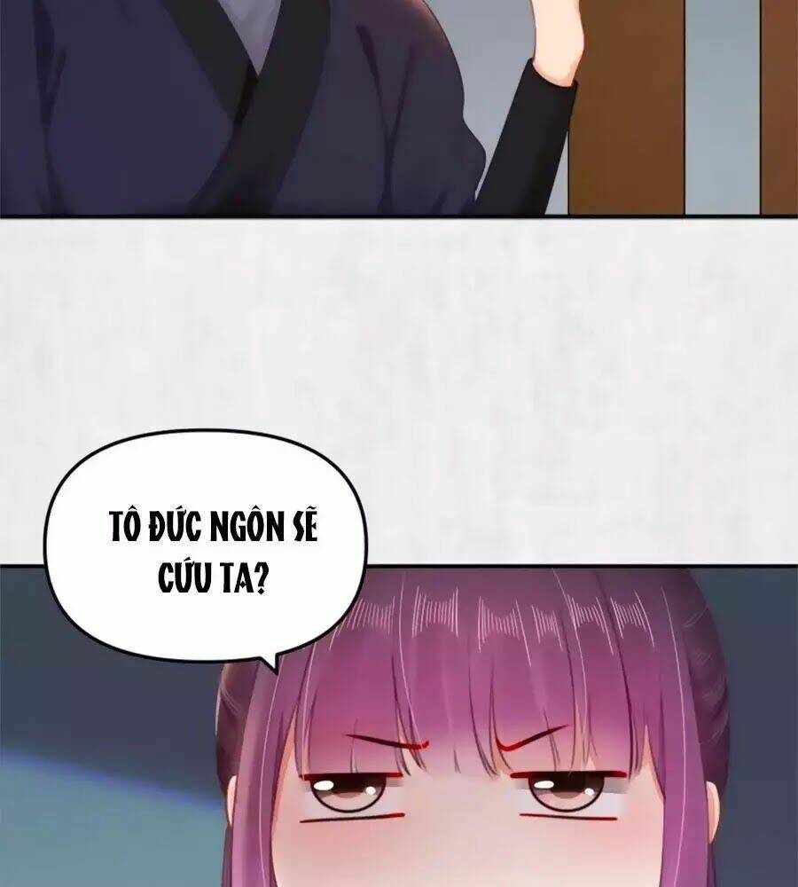 Hoạn Phi Hoàn Triều: Chapter 47