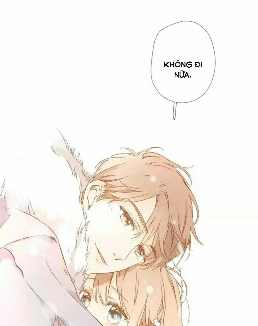 Tình Yêu Là Màu Hoa Anh Thảo: Chapter 29.2