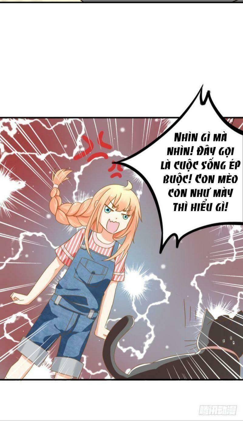 Nhân Ngư Học Trưởng, Đừng Ôm Ta!: Chapter 63