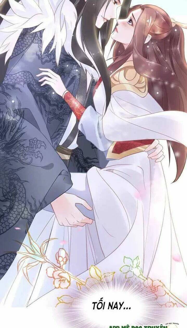 Nhất Sinh Nhất Thế Tiếu Thương Khung: Chapter 15