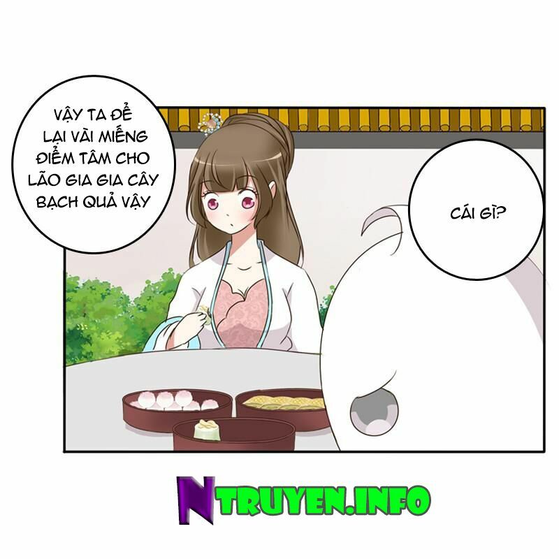 Thông Linh Phi: Chapter 91