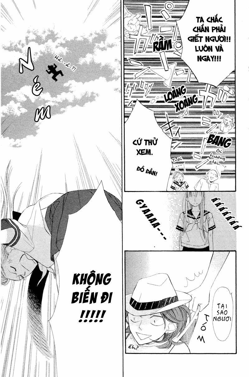 Hoa Trong Bão: Chapter 4