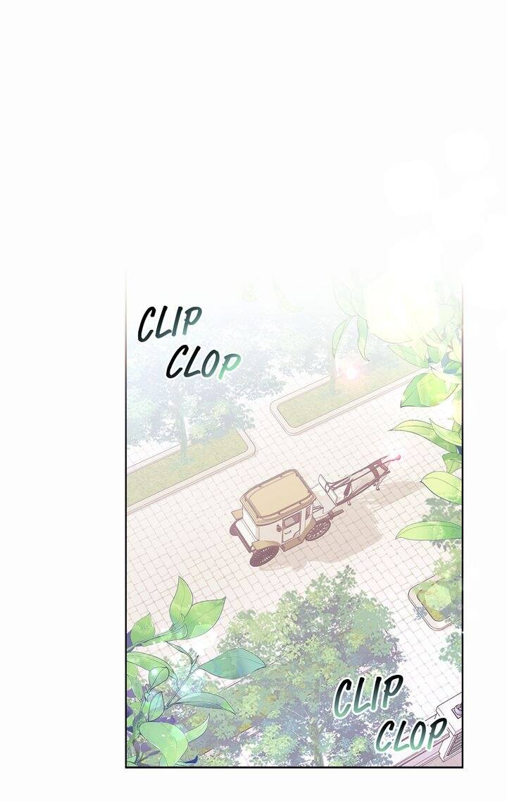 Nàng Dâu Bí Ẩn Của Bạch Sư Tử: Chapter 2