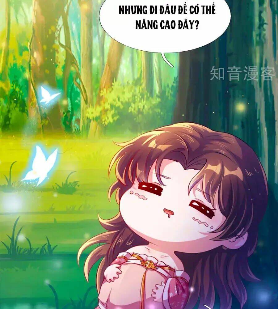 Phụng Lâm Thiên Hạ: Đệ Nhất Mỹ Nữ: Chapter 4