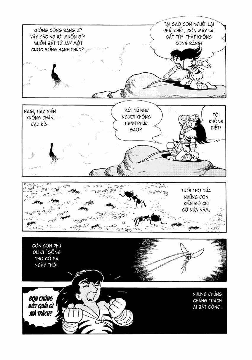 Chim Lửa: Chapter 7