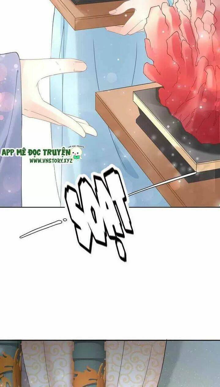 Nhất Sinh Nhất Thế Tiếu Thương Khung: Chapter 16