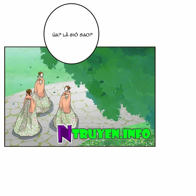 Thông Linh Phi: Chapter 204.5