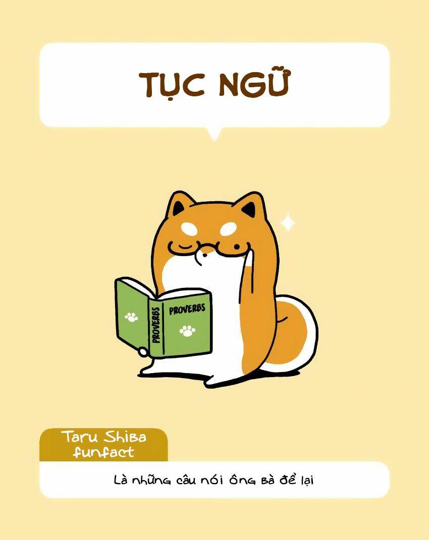 Taru Shiba: Chapter 9