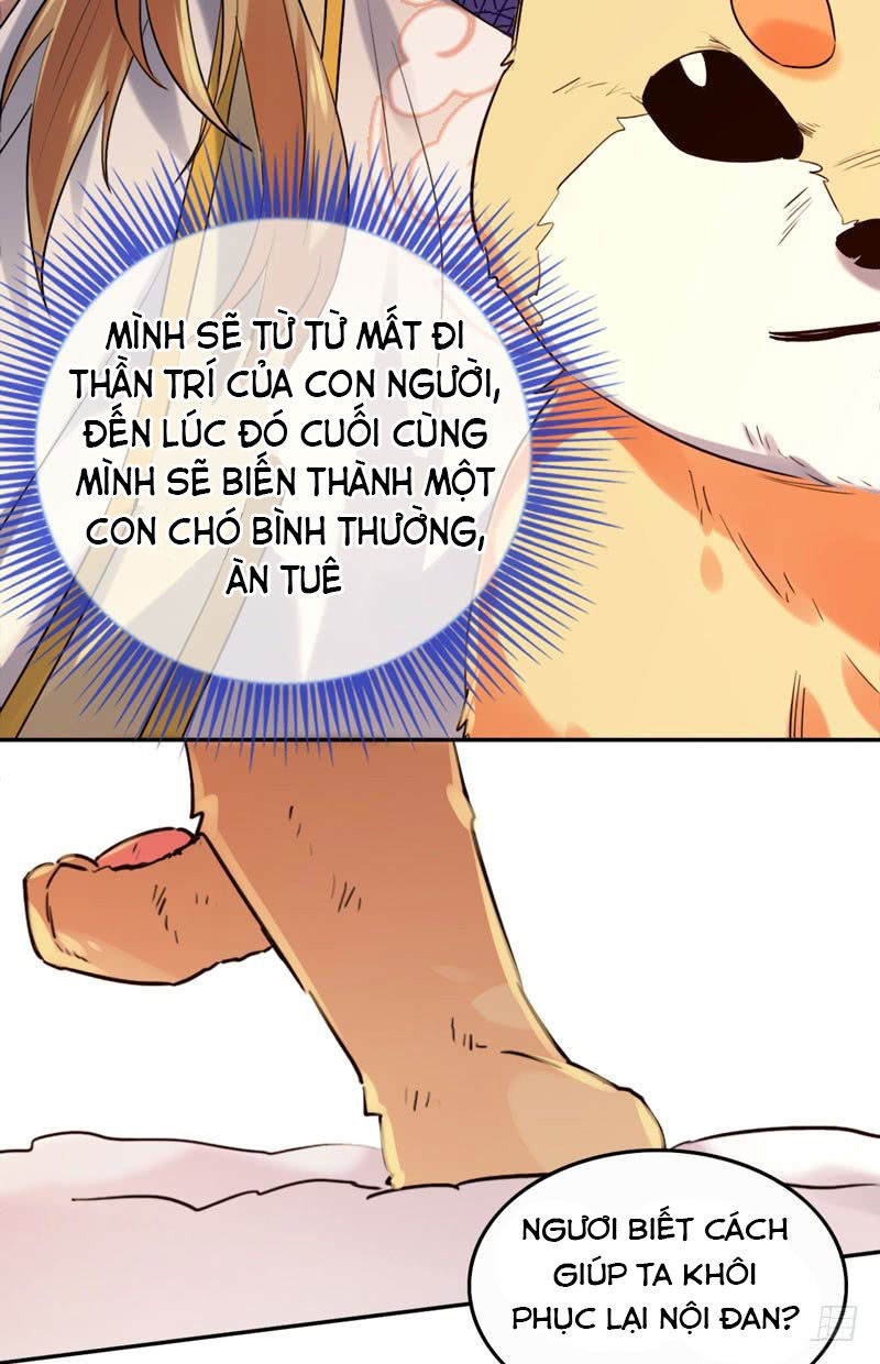 Lụ Đạn, Hôm Nay Lại Cũng Không Thể Biến Thành Người Được: Chapter 2