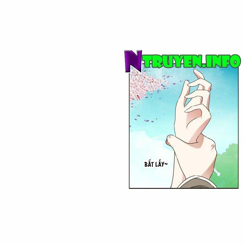 Thông Linh Phi: Chapter 237.5