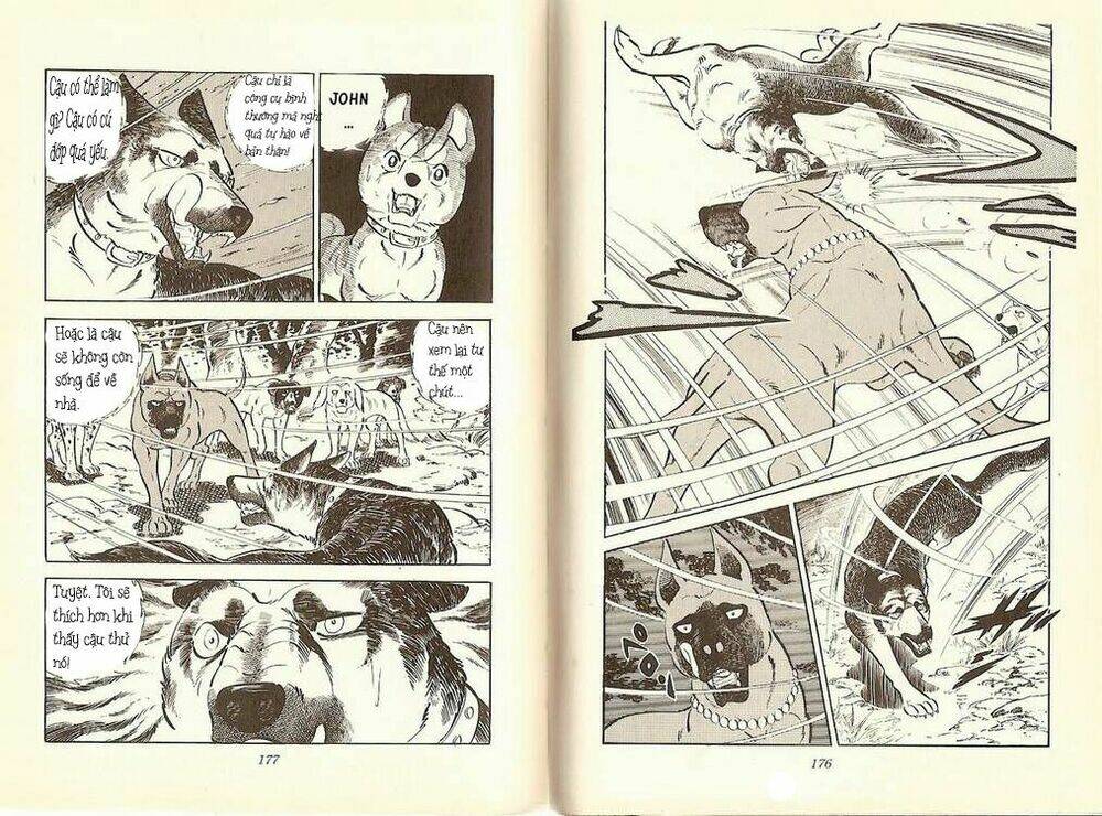 Chú Chó Có Nghĩa - Ginga Nagareboshi Gin: Chapter 10