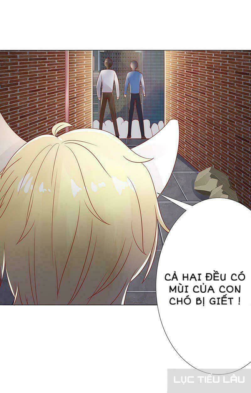 Băng Sơn Học Trưởng Không Được Chọc: Chapter 15