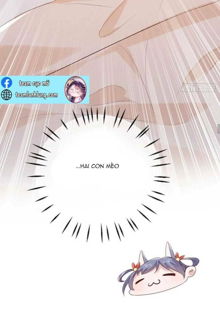 Mau Xuyên Không Rửa Tội Cho Nhân Vật Phản Diện: Chapter 143