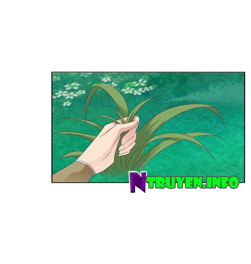 Thông Linh Phi: Chapter 310