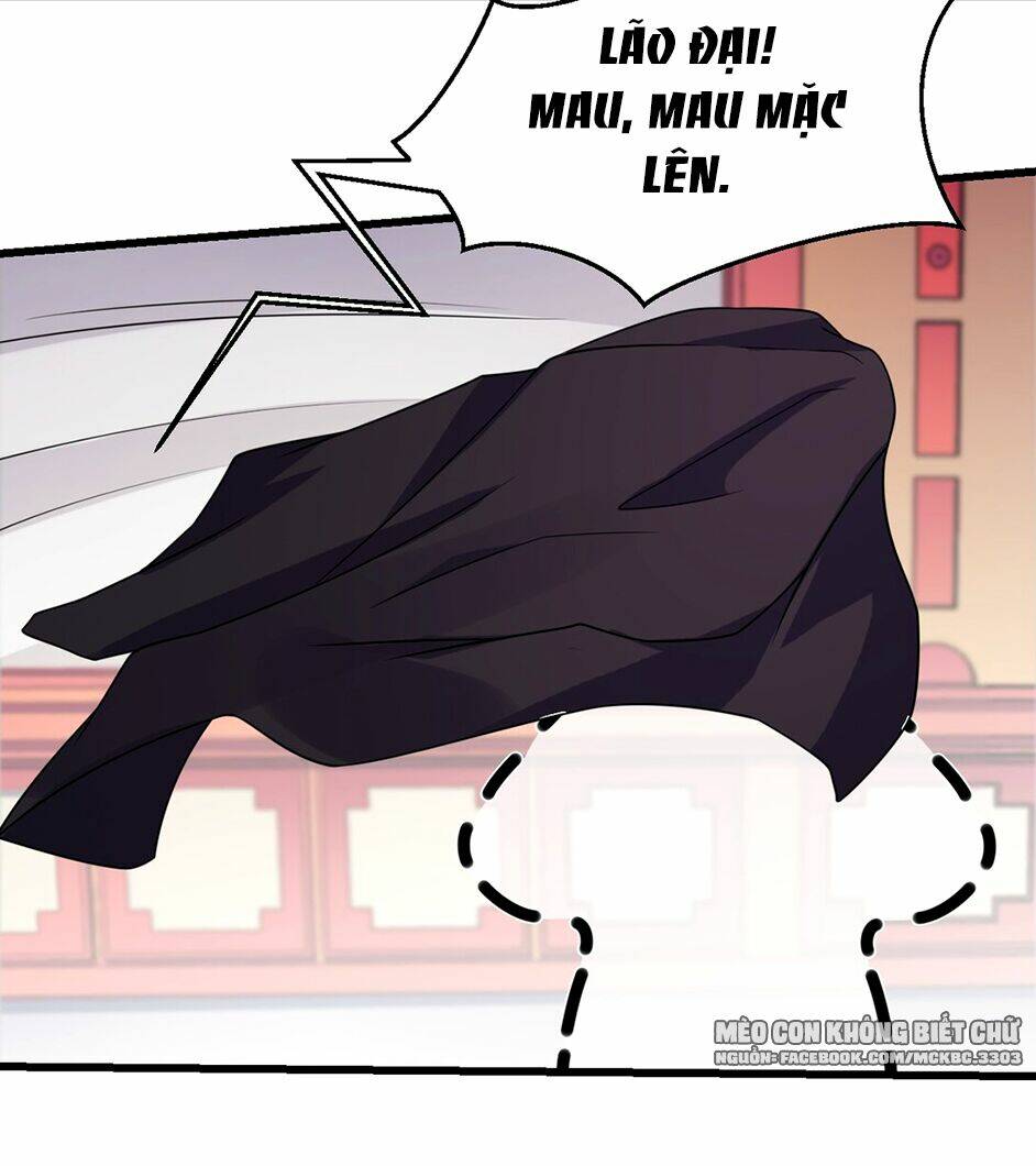 Báo Cáo! Đế Quân Ngài Có Độc!: Chapter 1