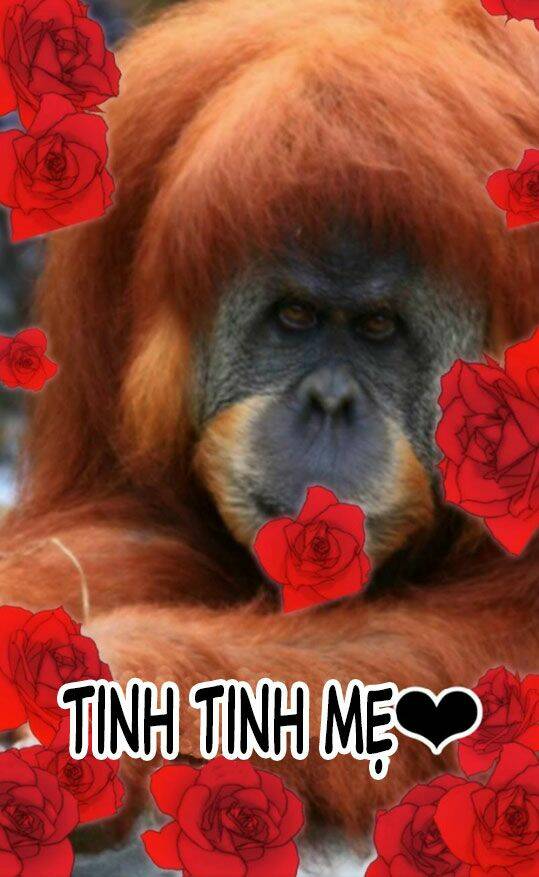 Một Vạn Tư Thế Công Lược Yêu Nam: Chapter 11