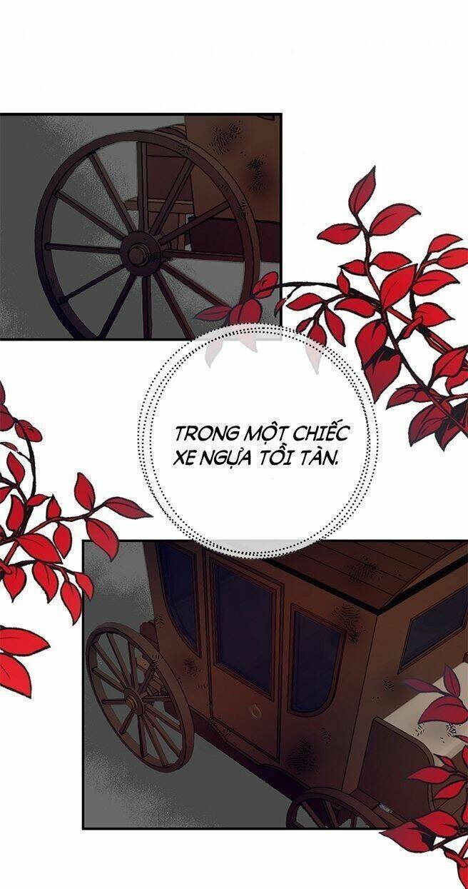 Ba Người Anh Trai Của Tôi Là Bạo Quân: Chapter 5