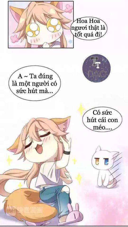 Dưới Móng Vuốt Mèo: Chapter 11