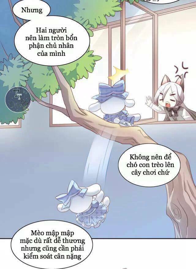 Dưới Móng Vuốt Mèo: Chapter 15