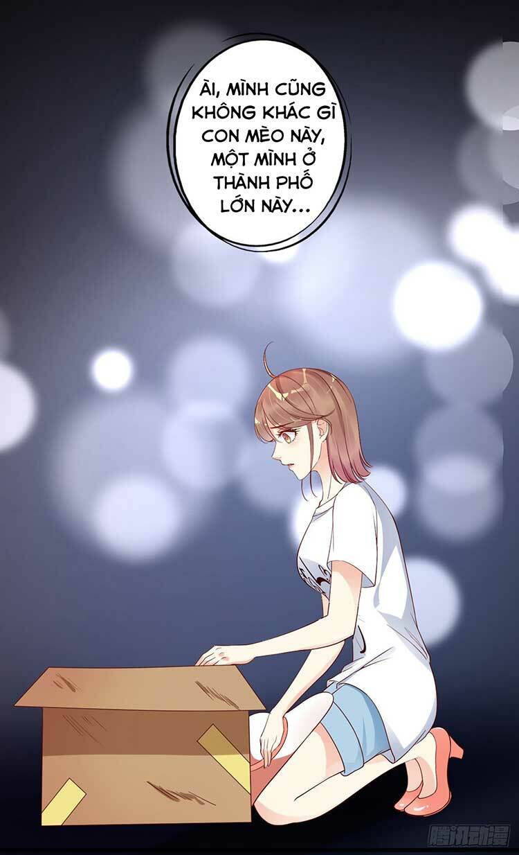 Náo Loạn Suốt Đời: Chapter 13