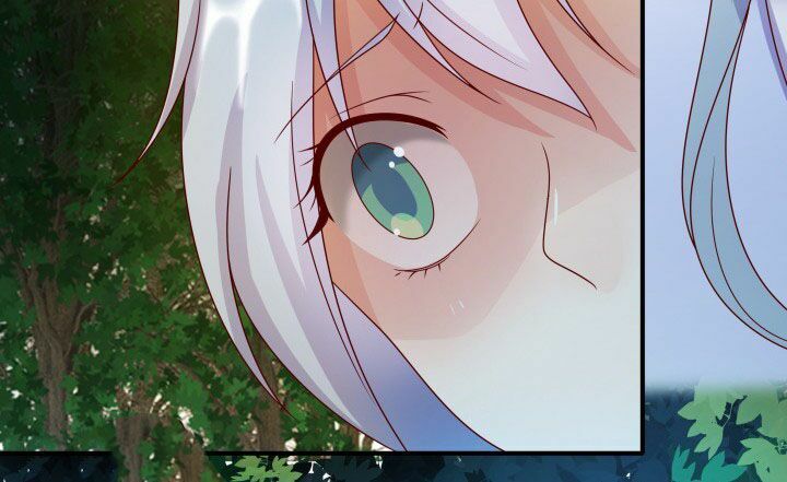 Đô đốc đại nhân sủng thê kí: Chapter 1.8