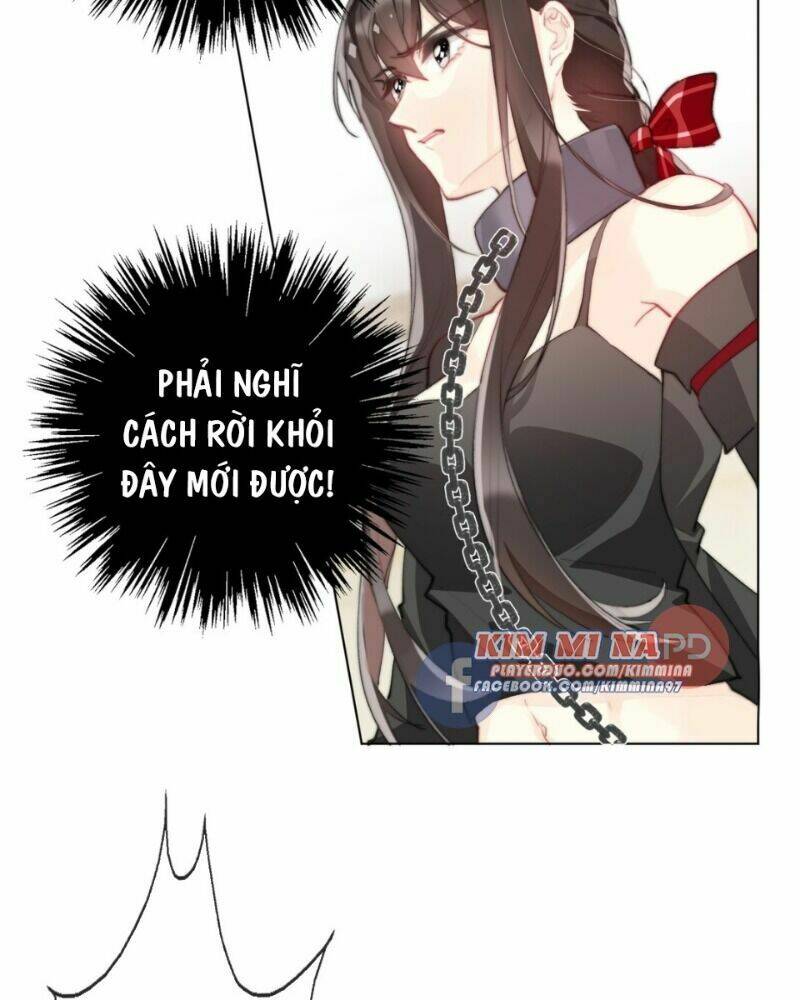 Tôi Bị Ép Trở Thành Vương Phi Khi Xuyên Tới Thế Giới Khác: Chapter 1.2