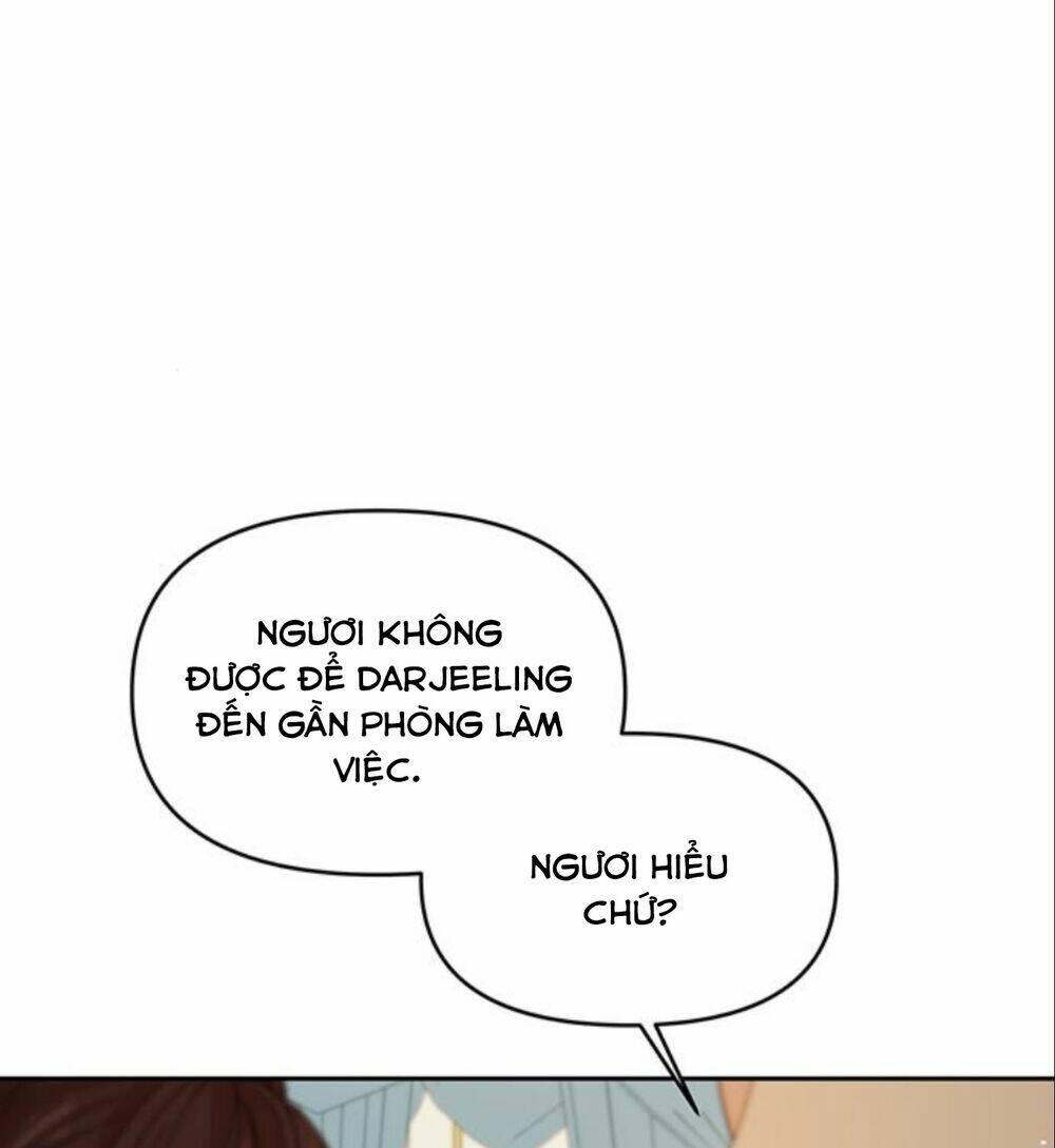 Con Người Không Phải Thứ Có Thể Sửa Rồi Dùng Được Đâu!: Chapter 12