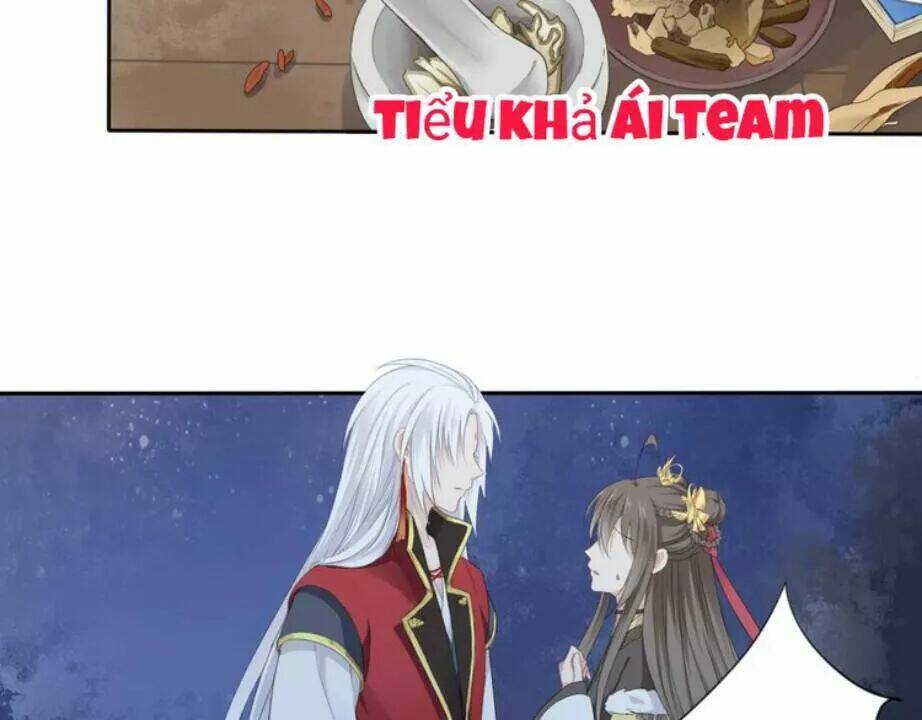 Tước Kiều Tiên: Chapter 3.2