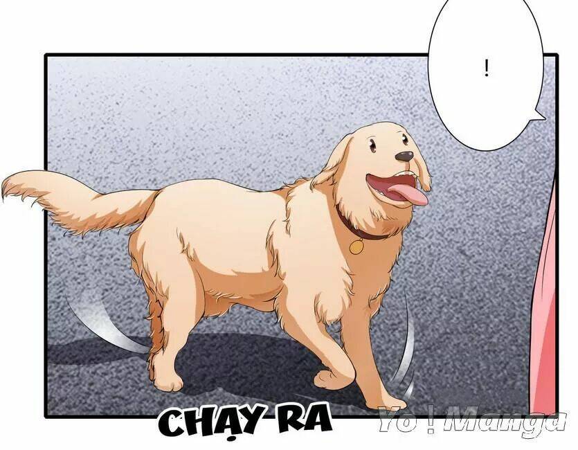 Thiểm Hôn Kinh Ái: Chapter 43