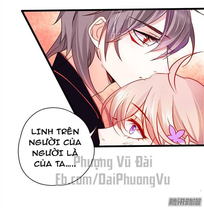 Hồ Tiên Hung Bạo: Chapter 4