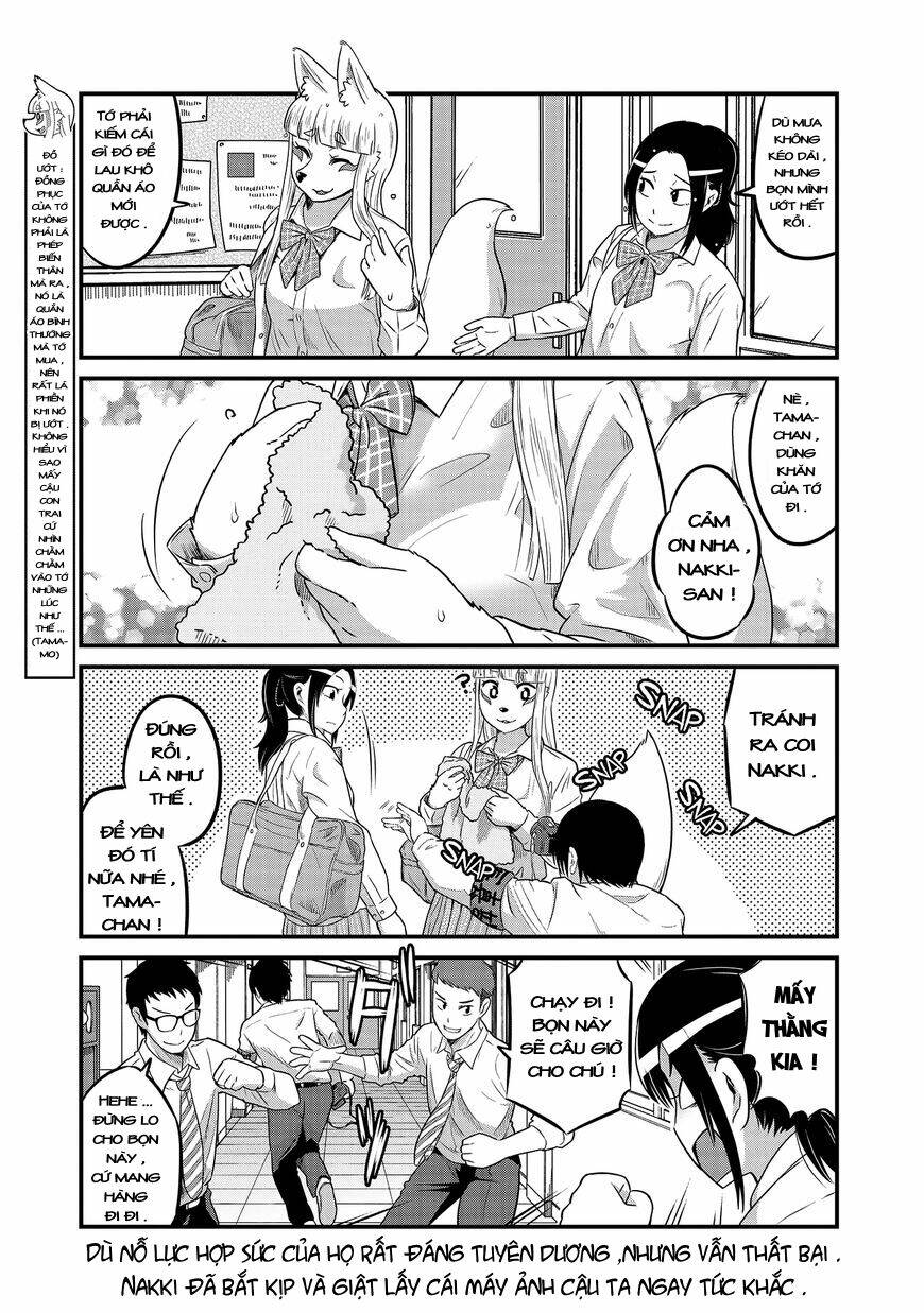 High School Inari Tamamo-Chan: Chapter 20